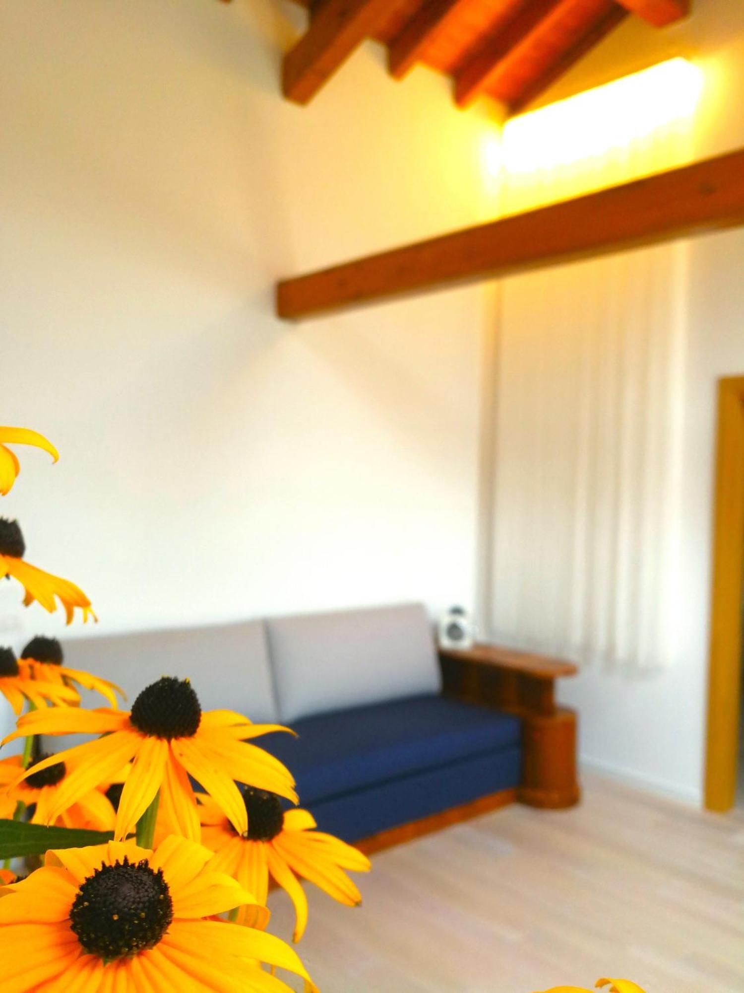 Al Canton Agriturismo Di Design San Michele al Tagliamento Exteriér fotografie